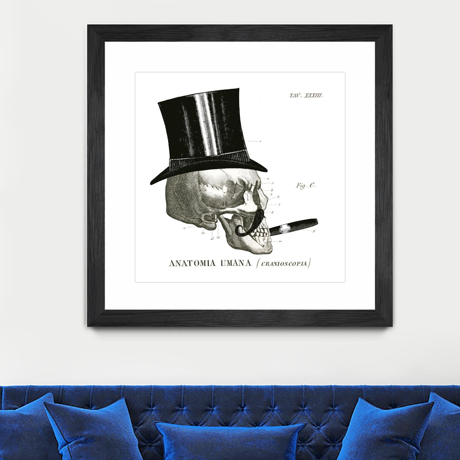 Dandy Bones III by Sue Schlabach on GIANT ART - white vintage