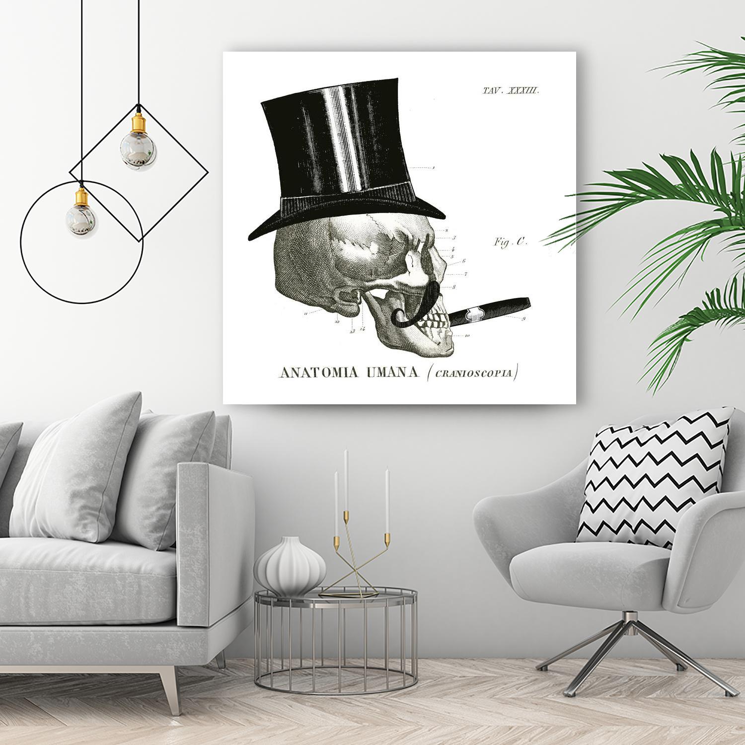 Dandy Bones III by Sue Schlabach on GIANT ART - white vintage