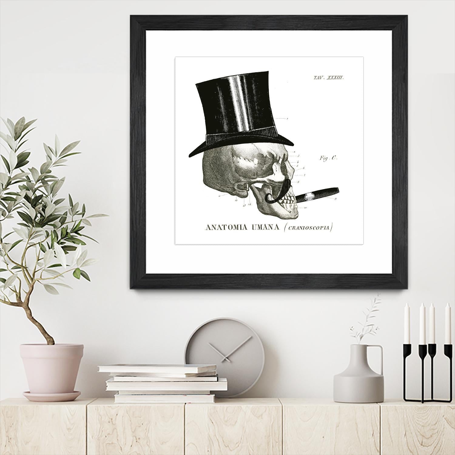 Dandy Bones III by Sue Schlabach on GIANT ART - white vintage