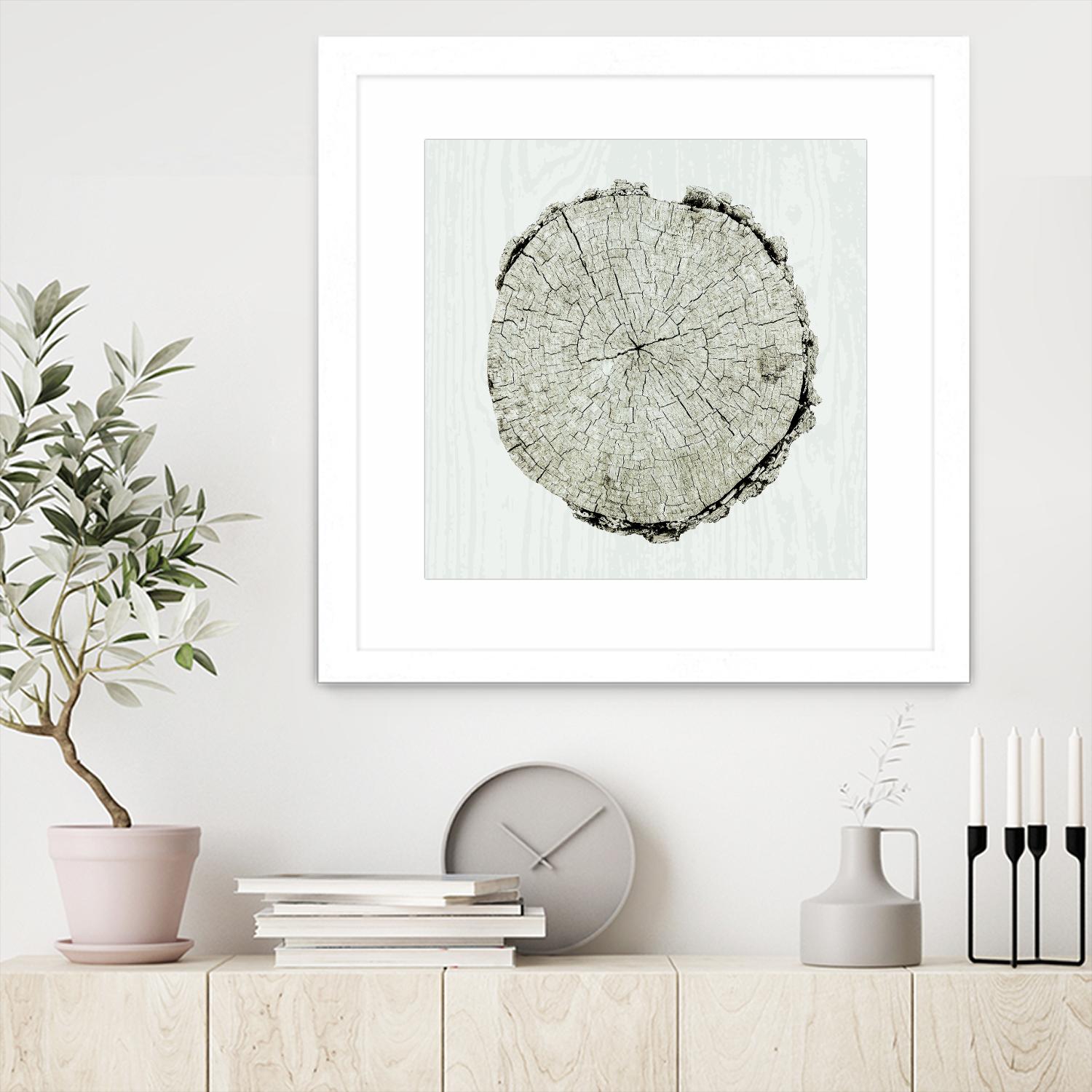 Woodland Years II by Sue Schlabach on GIANT ART - beige trees