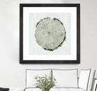 Woodland Years II by Sue Schlabach on GIANT ART - beige trees