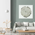 Woodland Years II by Sue Schlabach on GIANT ART - beige trees