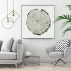 Woodland Years II by Sue Schlabach on GIANT ART - beige trees