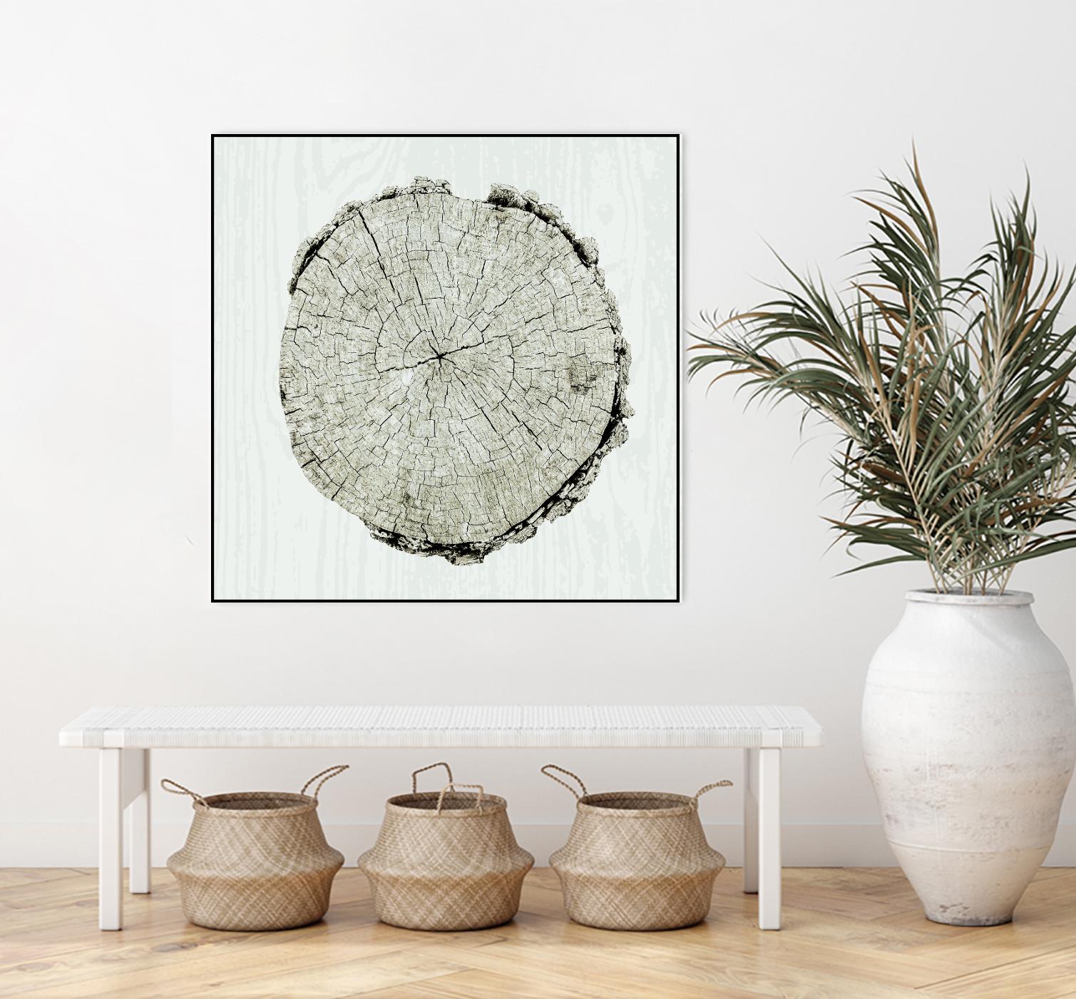 Woodland Years II by Sue Schlabach on GIANT ART - beige trees