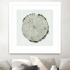 Woodland Years II by Sue Schlabach on GIANT ART - beige trees