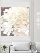 Hydrangea Dream II by Laura Marshall on GIANT ART - grey floral