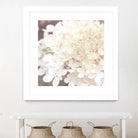 Hydrangea Dream II by Laura Marshall on GIANT ART - grey floral