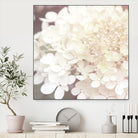 Hydrangea Dream II by Laura Marshall on GIANT ART - grey floral