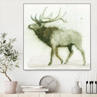 Elk 2 by James Wiens on GIANT ART - brown animals