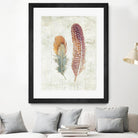 Natural Flora XI Bold Feathers by Danhui Nai on GIANT ART - beige contemporary