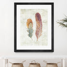 Natural Flora XI Bold Feathers by Danhui Nai on GIANT ART - beige contemporary