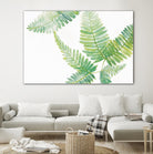 Ferns I by Chris Paschke on GIANT ART - green tropical