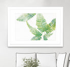 Ferns I by Chris Paschke on GIANT ART - green tropical