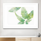 Ferns I by Chris Paschke on GIANT ART - green tropical