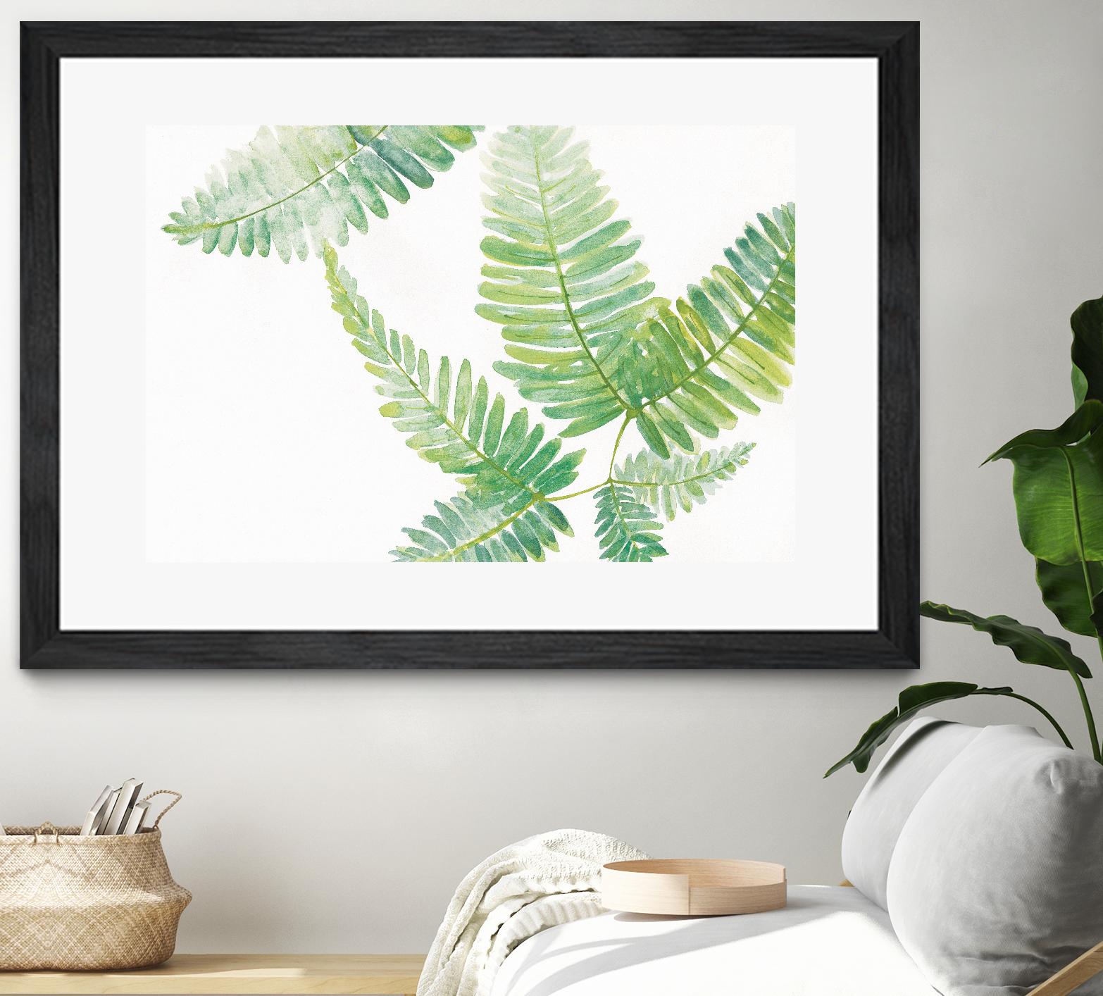 Ferns I by Chris Paschke on GIANT ART - green tropical