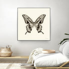 Butterfly VI BW Crop by Debra Van Swearingen on GIANT ART - beige animals