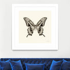 Butterfly VI BW Crop by Debra Van Swearingen on GIANT ART - beige animals