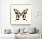 Butterfly VI BW Crop by Debra Van Swearingen on GIANT ART - beige animals