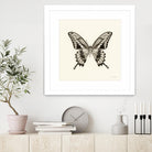 Butterfly VI BW Crop by Debra Van Swearingen on GIANT ART - beige animals