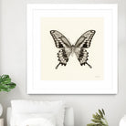 Butterfly VI BW Crop by Debra Van Swearingen on GIANT ART - beige animals