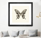 Butterfly VI BW Crop by Debra Van Swearingen on GIANT ART - beige animals