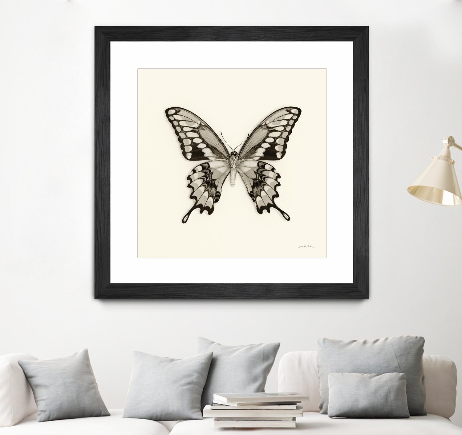 Butterfly VI BW Crop by Debra Van Swearingen on GIANT ART - beige animals