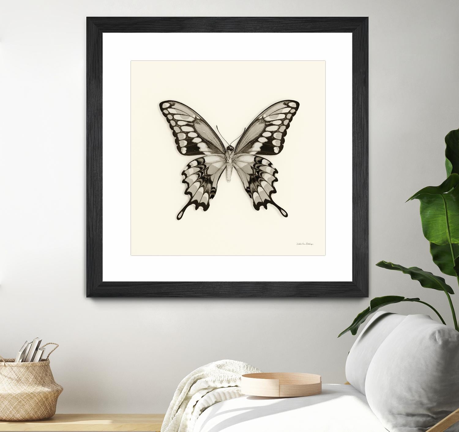 Butterfly VI BW Crop by Debra Van Swearingen on GIANT ART - beige animals