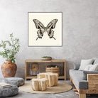 Butterfly VI BW Crop by Debra Van Swearingen on GIANT ART - beige animals