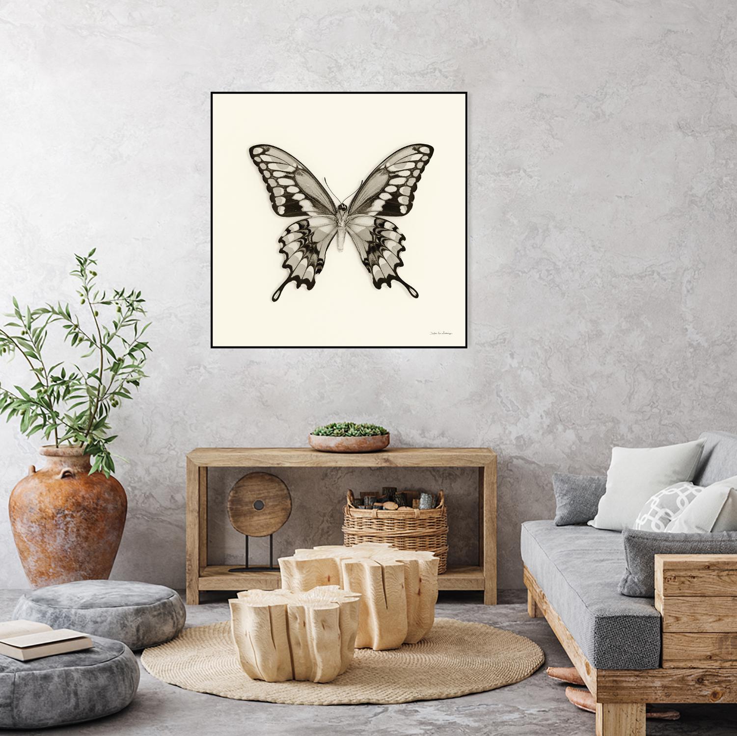 Butterfly VI BW Crop by Debra Van Swearingen on GIANT ART - beige animals