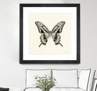 Butterfly VI BW Crop by Debra Van Swearingen on GIANT ART - beige animals