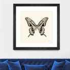 Butterfly VI BW Crop by Debra Van Swearingen on GIANT ART - beige animals