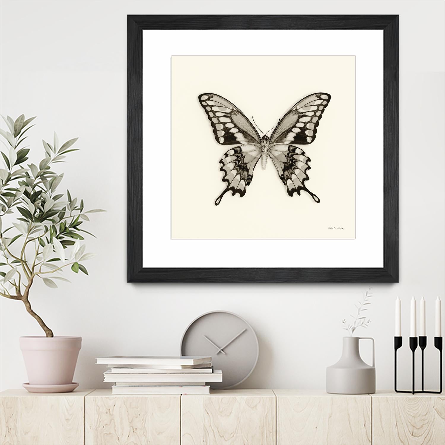 Butterfly VI BW Crop by Debra Van Swearingen on GIANT ART - beige animals
