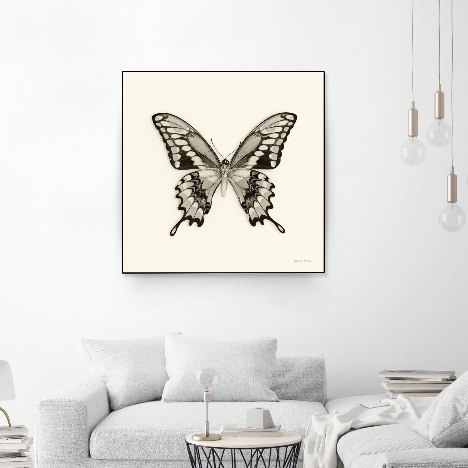 Butterfly VI BW Crop by Debra Van Swearingen on GIANT ART - beige animals