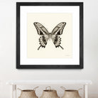 Butterfly VI BW Crop by Debra Van Swearingen on GIANT ART - beige animals