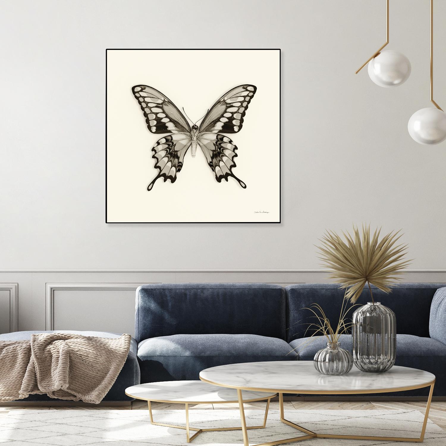 Butterfly VI BW Crop by Debra Van Swearingen on GIANT ART - beige animals
