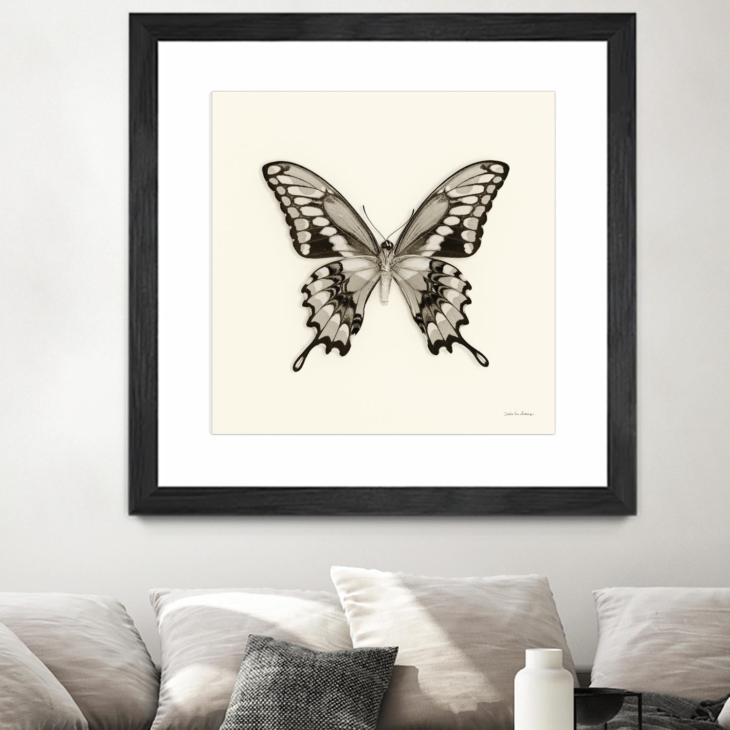 Butterfly VI BW Crop by Debra Van Swearingen on GIANT ART - beige animals