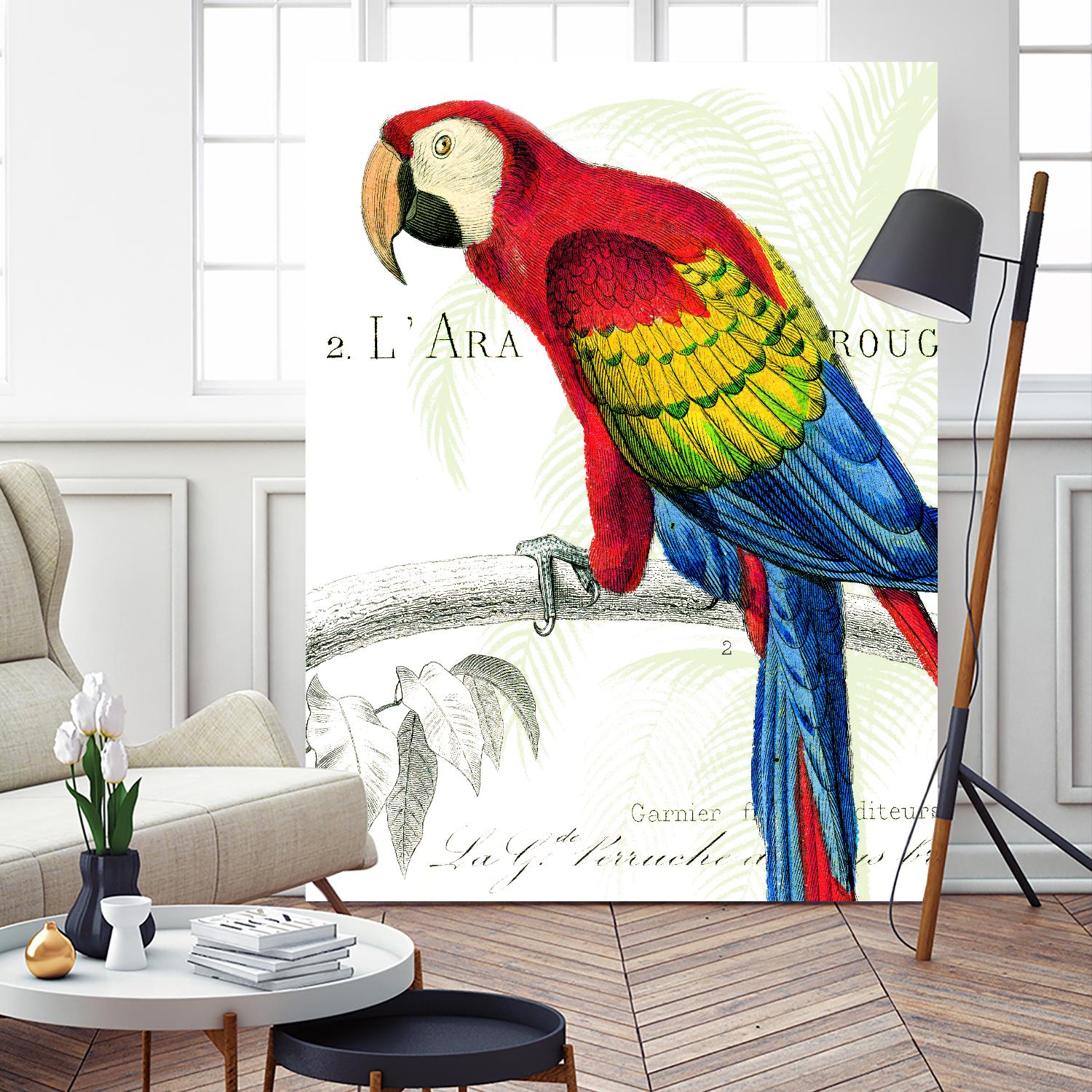 Parrot Botanique II by Portfolio on GIANT ART - blue tropical