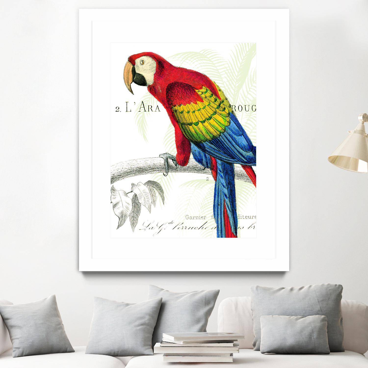 Parrot Botanique II by Portfolio on GIANT ART - red animal oiseau
