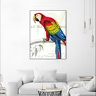 Parrot Botanique II by Portfolio on GIANT ART - blue tropical