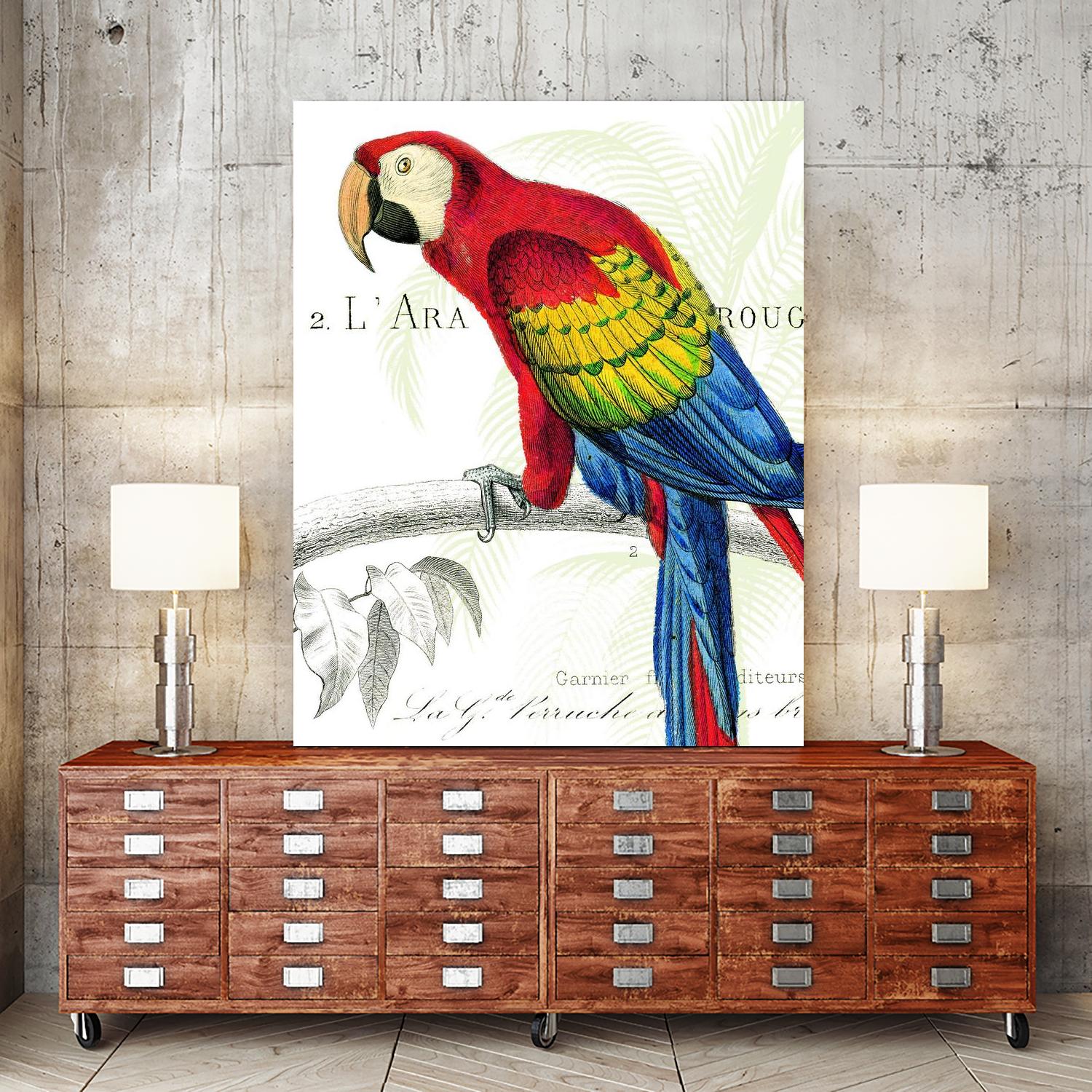 Parrot Botanique II by Portfolio on GIANT ART - red animal oiseau