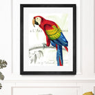 Parrot Botanique II by Portfolio on GIANT ART - red animal oiseau