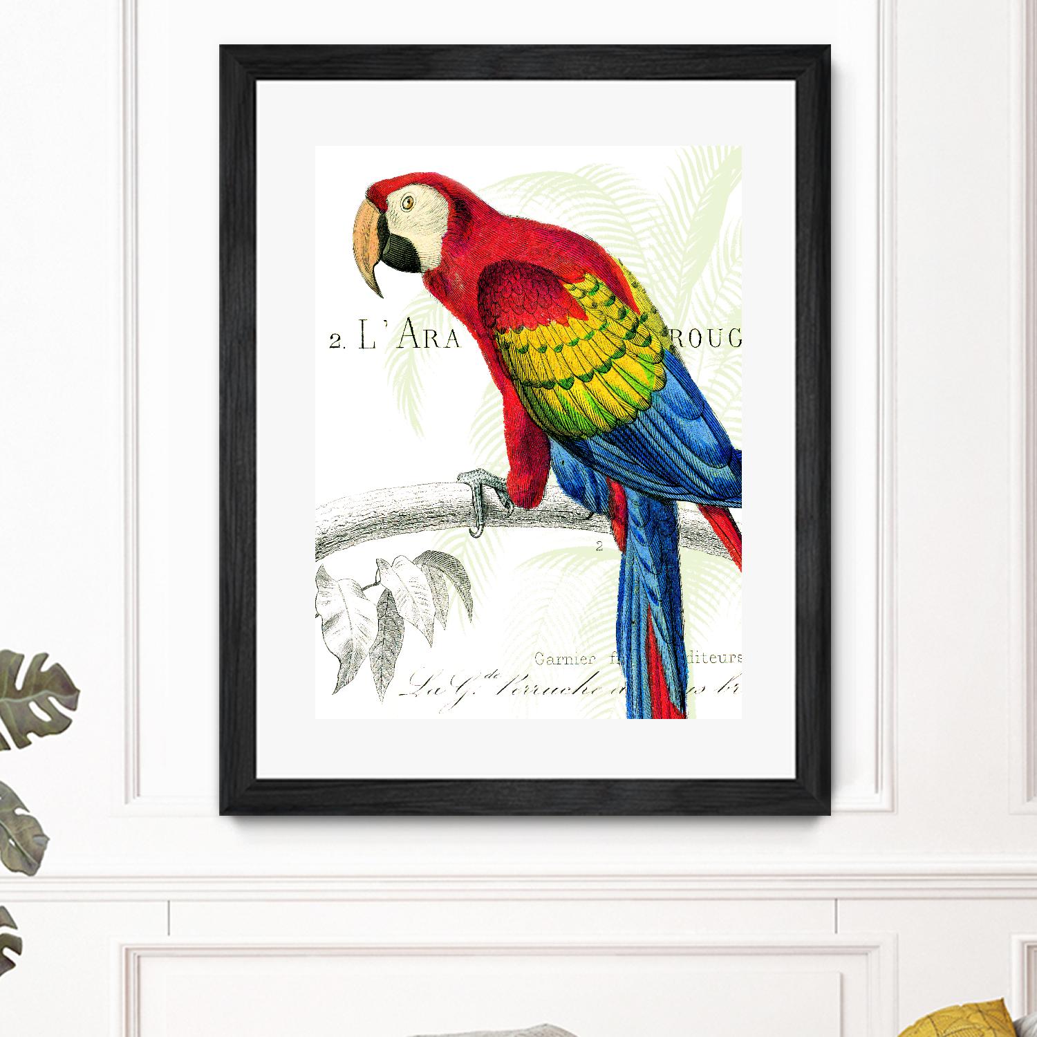 Parrot Botanique II by Portfolio on GIANT ART - red animal oiseau