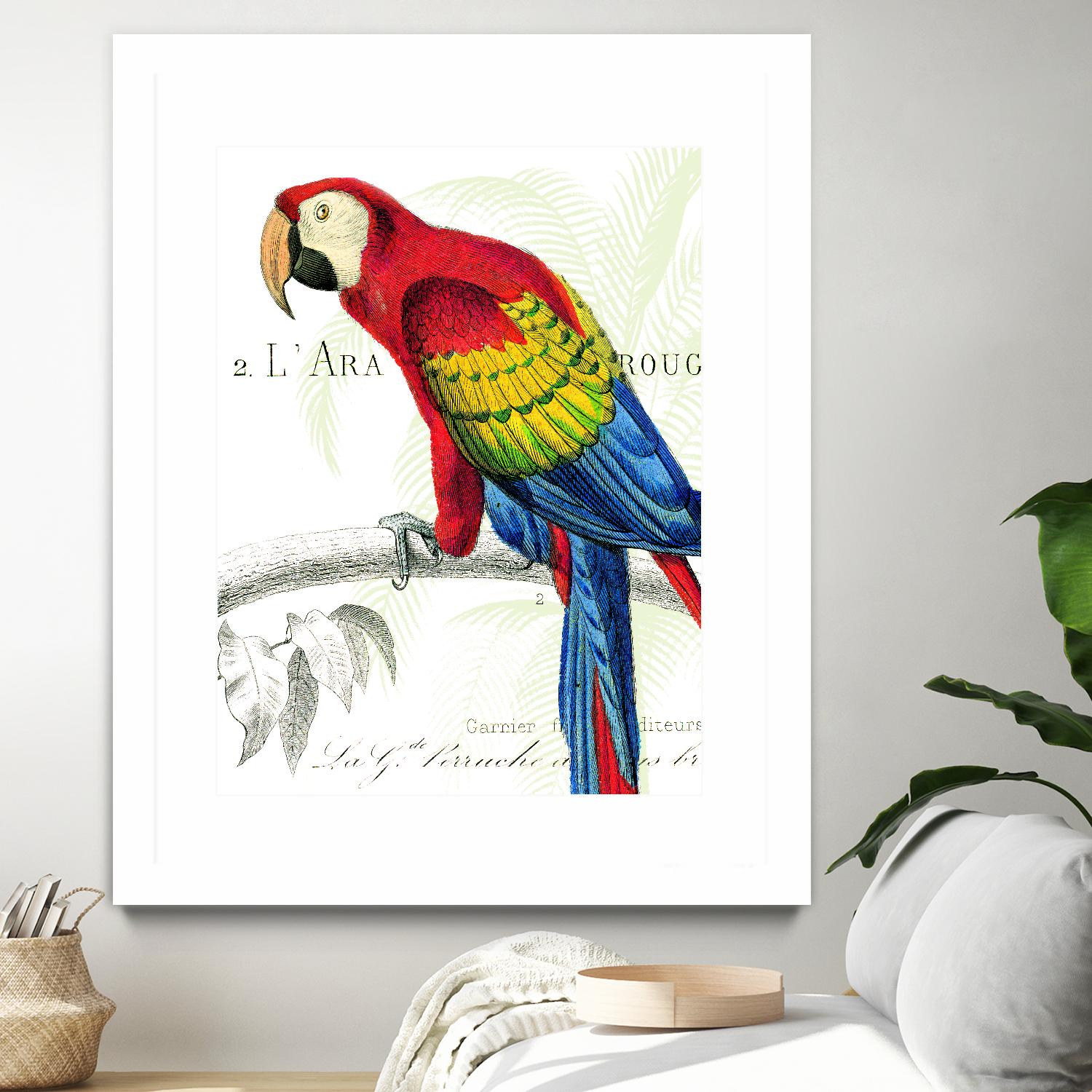 Parrot Botanique II by Portfolio on GIANT ART - red animal oiseau