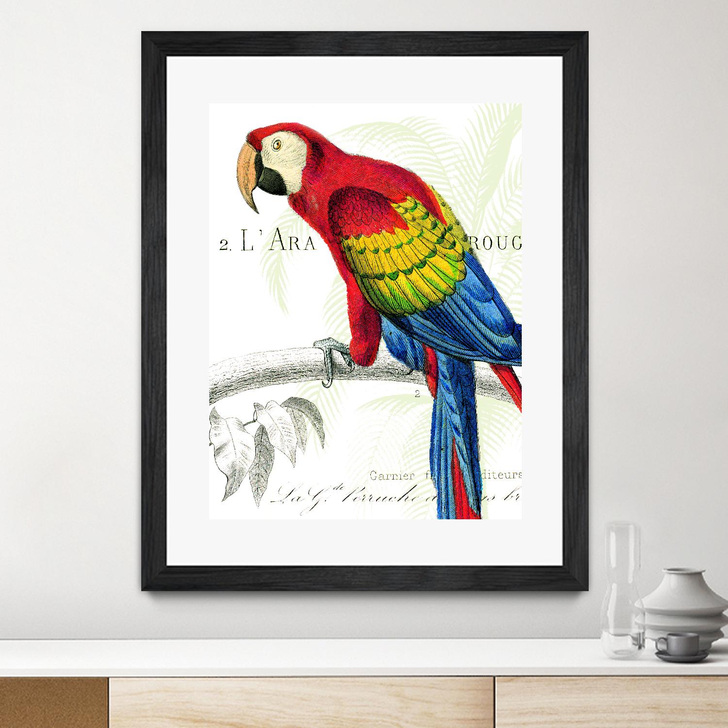 Parrot Botanique II by Portfolio on GIANT ART - red animal oiseau