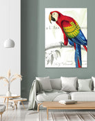 Parrot Botanique II by Portfolio on GIANT ART - red animal oiseau