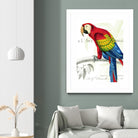Parrot Botanique II by Portfolio on GIANT ART - red animal oiseau