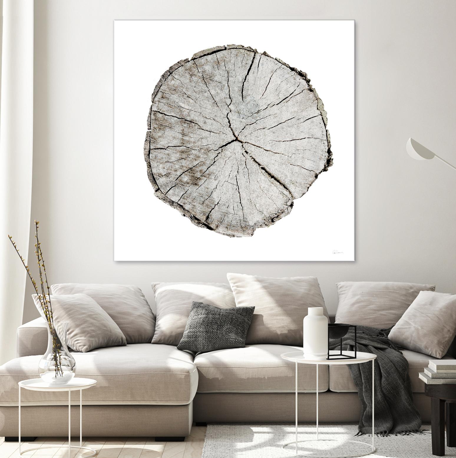 Woodland Years I on White by Sue Schlabach on GIANT ART - grey trees