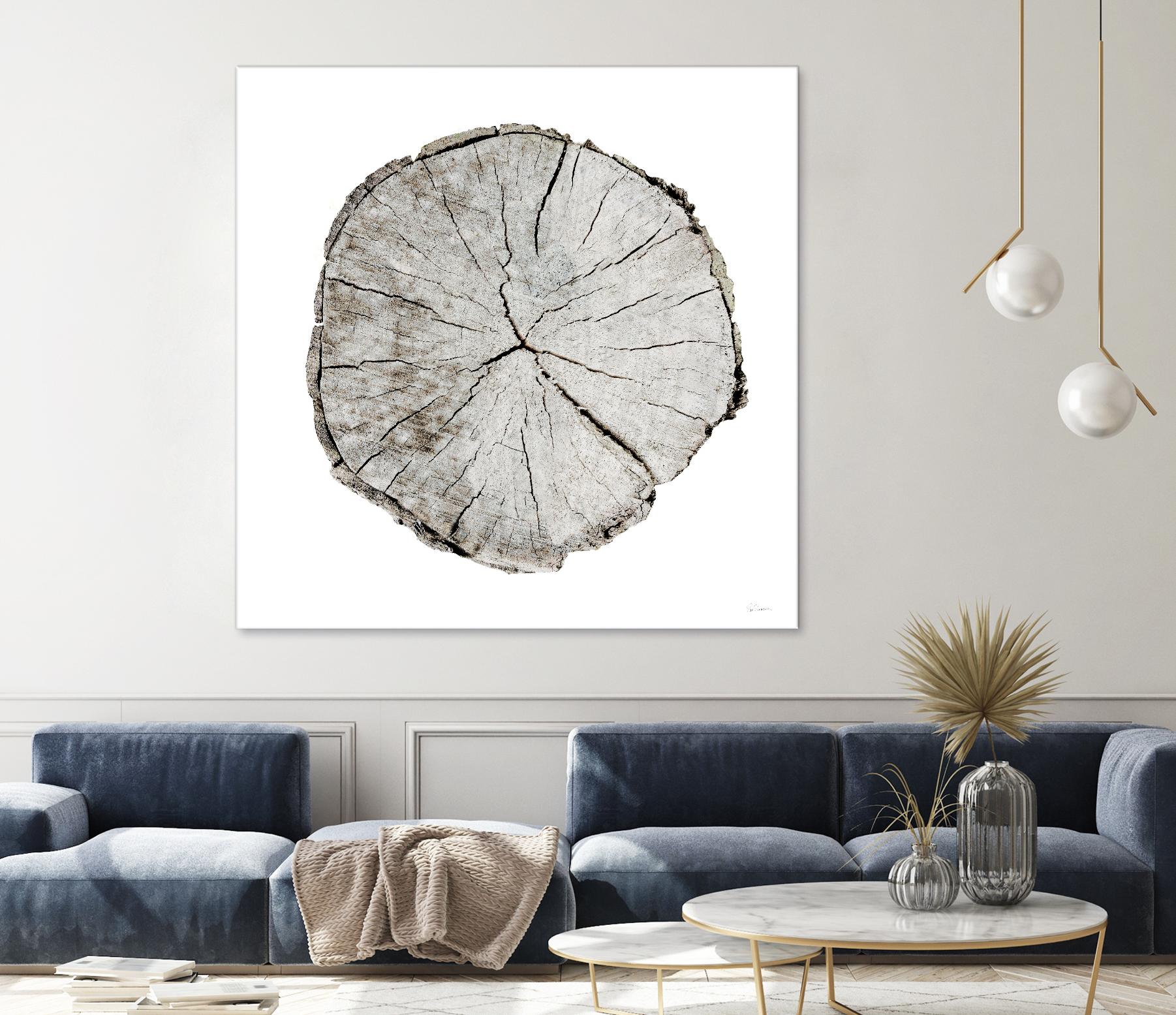 Woodland Years I on White by Sue Schlabach on GIANT ART - grey trees
