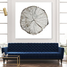 Woodland Years I on White by Sue Schlabach on GIANT ART - grey trees