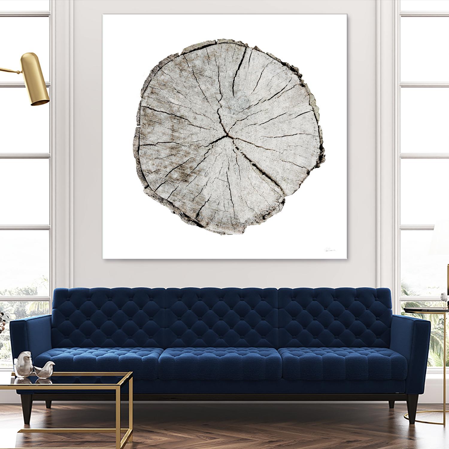 Woodland Years I on White by Sue Schlabach on GIANT ART - grey trees